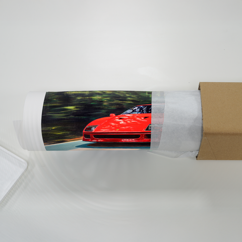 "Through the forest" Print