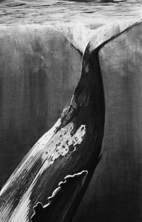 "Whale" Original