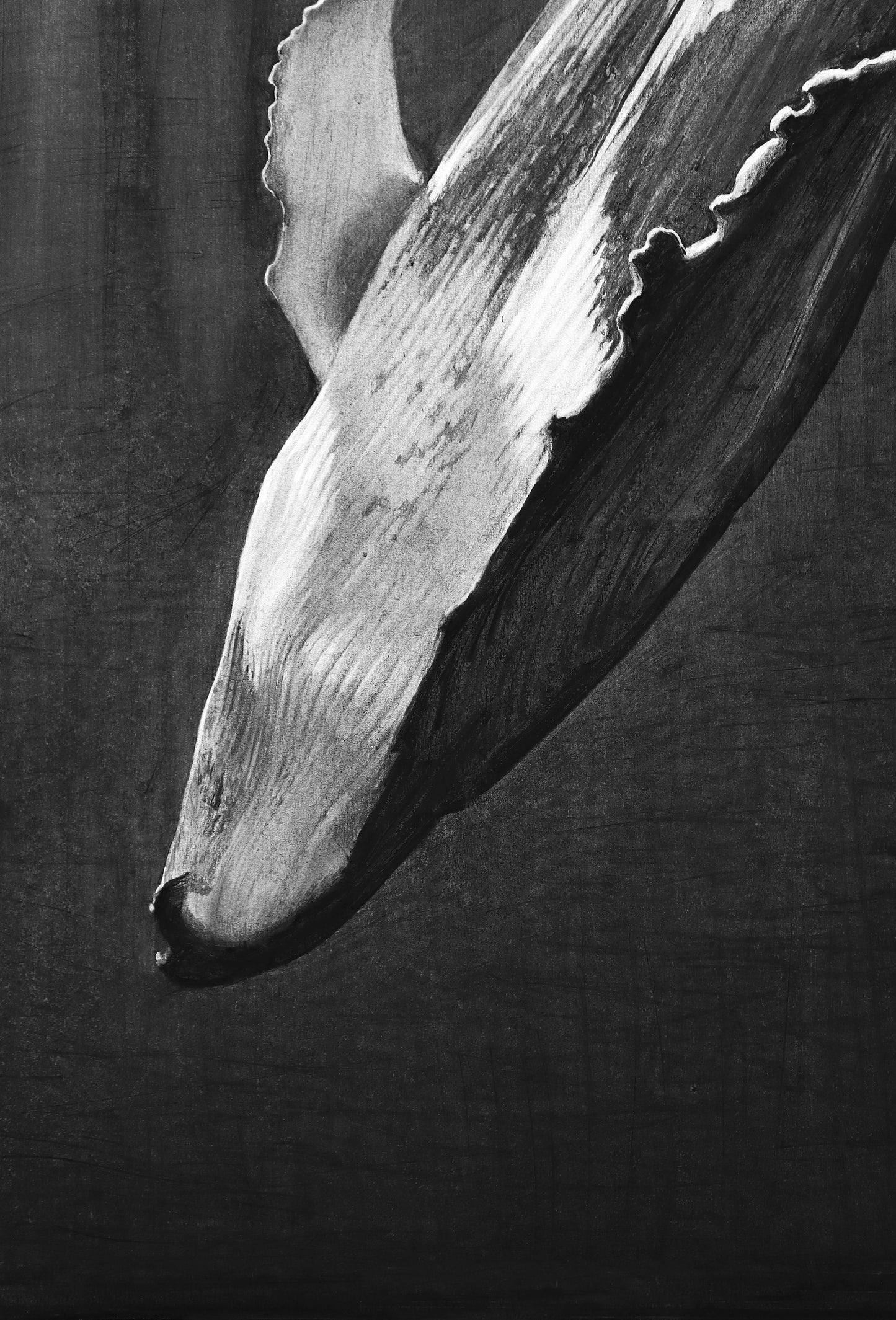 "Whale" Print