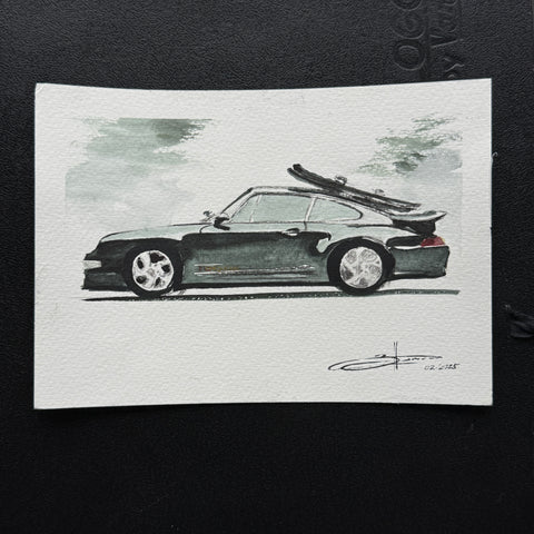 Skier 993