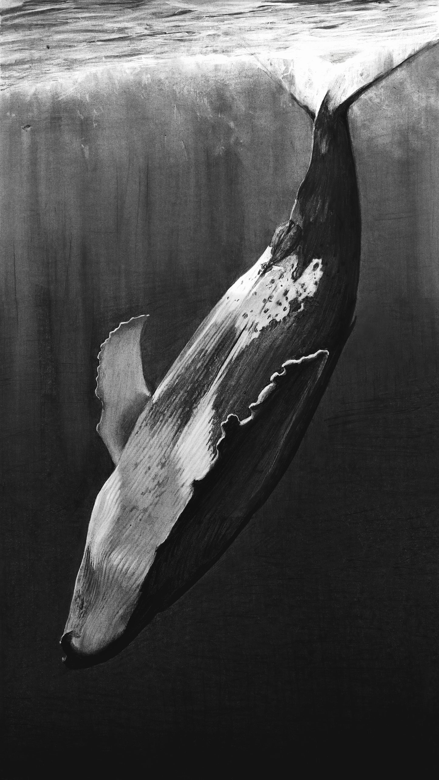 "Whale" Print